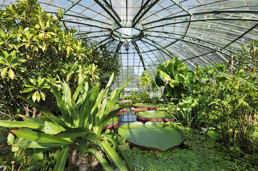 Basel, Botanischer Garten der Universität Basel