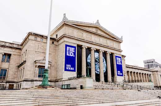 Chicago, IL, Field Museum of Natural History