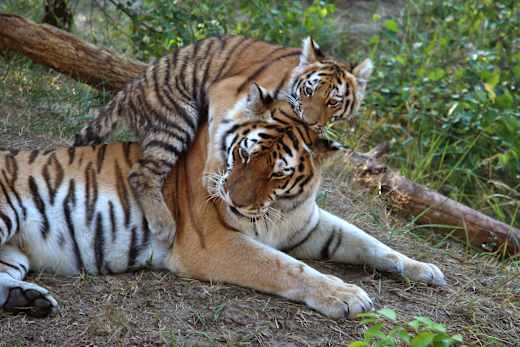 Eberswalde, Zoologischer Garten Eberswalde