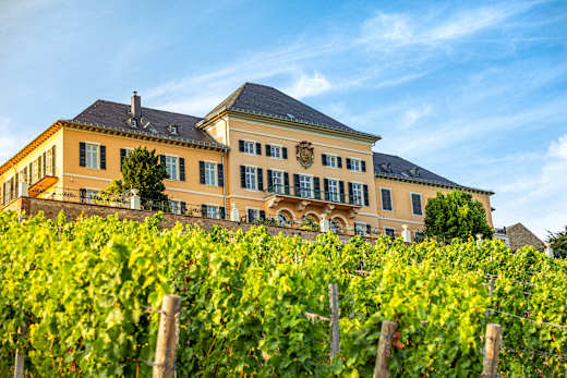 Eltville am Rhein, Rheingauer Riesling Route, Schloss Johannisberg