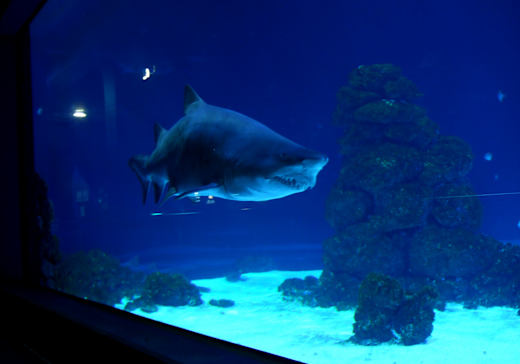 Fehmarn/Burg, Meereszentrum Fehmarn