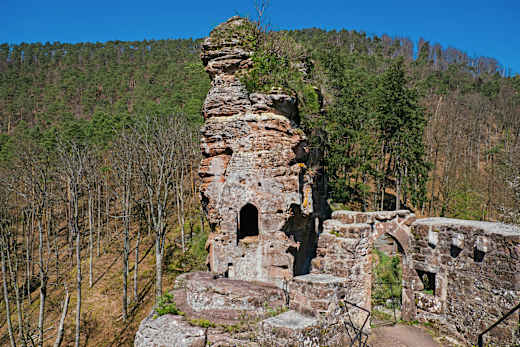 Froensbourg, Château de Froensbourg