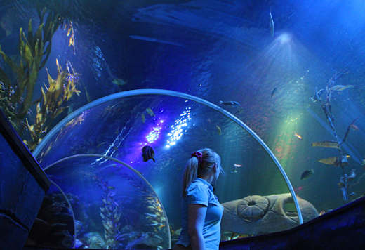 Helsinki, Sea Life Helsinki