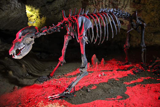 Pottenstein, Teufelshöhle