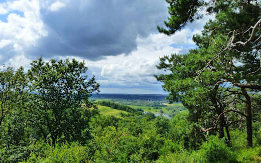 Aussicht von Gedenkhöhe auf die Oder, Foto: NaturFreunde Oberbarnim-Oderland e.V.