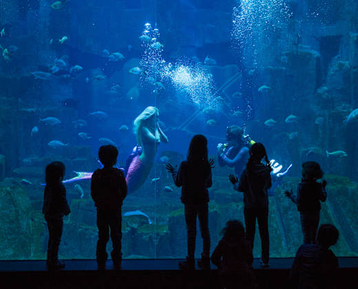Paris, Aquarium de Paris Cinéaqua