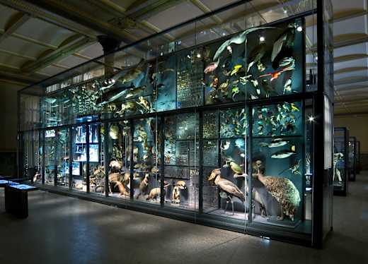 Berlin, Museum für Naturkunde