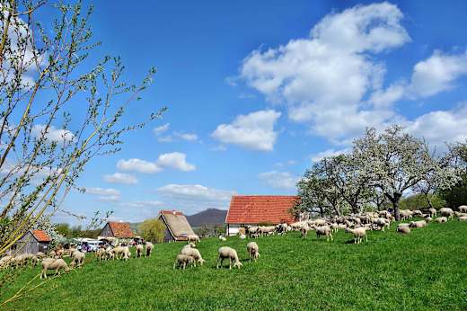 Beuren, Freilichtmuseum Beuren