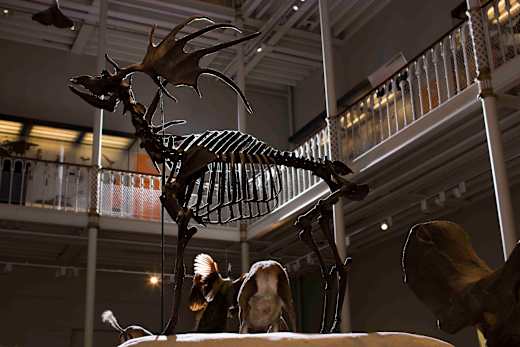 Edinburgh, National Museum of Scotland
