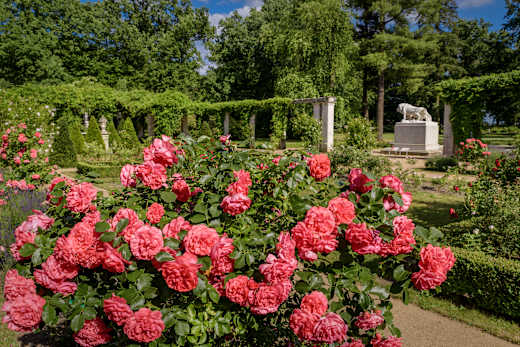 Forst, Ostdeutscher Rosengarten