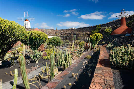 Guatiza, Jardín de Cactus