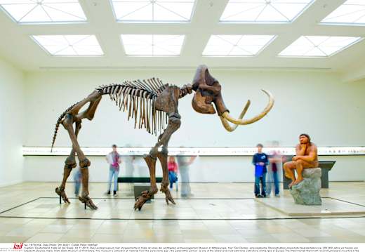 Halle, Landesmuseum für Vorgeschichte