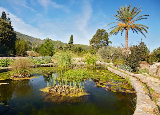 Sóller, Jardí Botànic