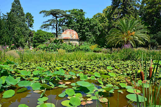 Montpellier, Jardin des Plantes