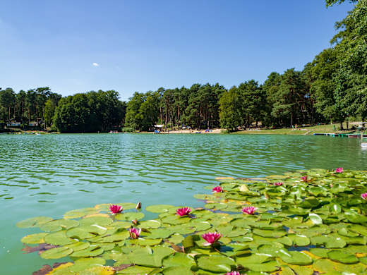 Müllrose, Naturpark Schlaubetal
