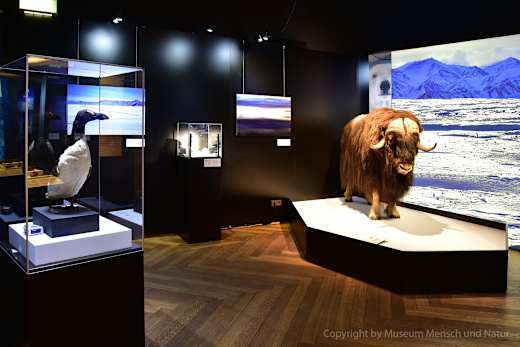München, Museum Mensch und Natur