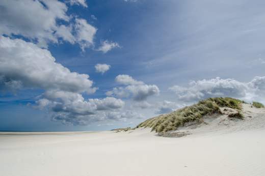 Insel Terschelling