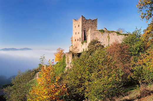 Oberkirch, Ruine Schauenburg