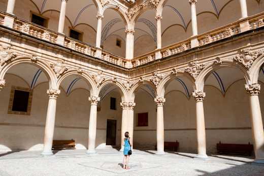 Orihuela, Colegio de Santo Domingo