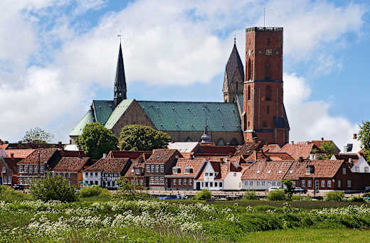Ribe, Domkirche