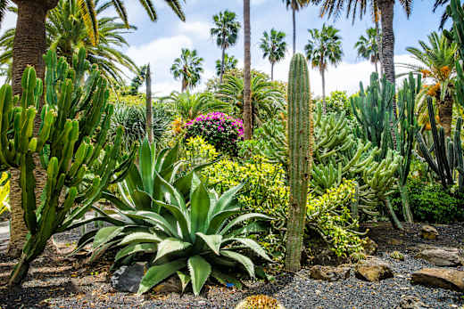 Santa Cruz de Tenerife, Parque García Sanabria