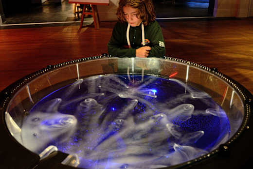 London, Science Museum, Wonderlab