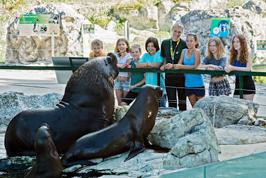Wien, Tiergarten Schönbrunn