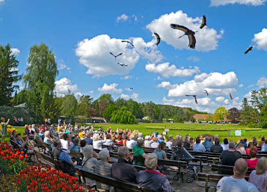 Walsrode, Weltvogelpark Walsrode