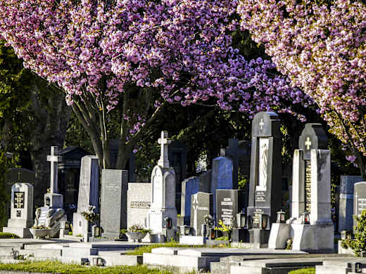 Wien, Zentralfriedhof