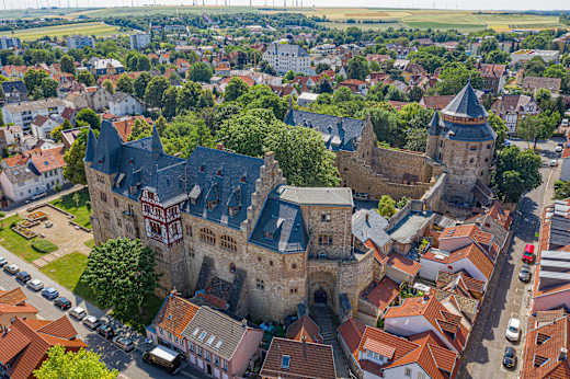Alzey, Schloss Alzey