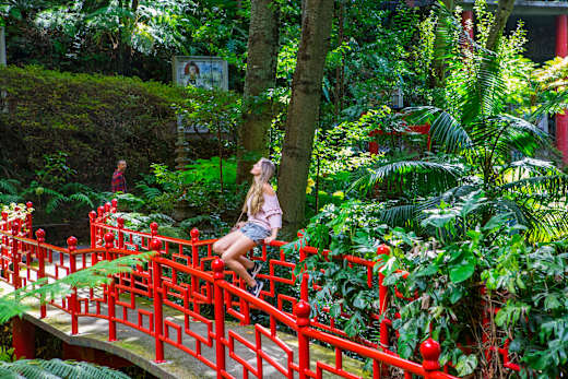 Monte Palace Tropical Garden