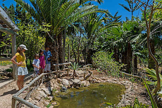 Porto Santo, Quinta das Palmeiras