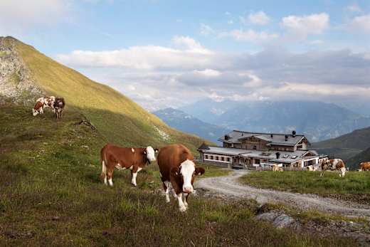 Kaltenbach, Zillertaler Höhenstraße