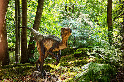 Lengenfeld-Plohn, Freizeitpark Plohn