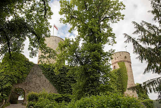 Nagold, Burgruine Hohennagold