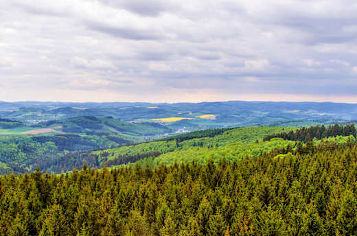 Soest, Naturpark Arnsberger Wald