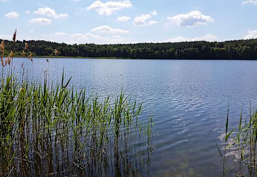 Prieros, Naturpark Dahme-Heideseen