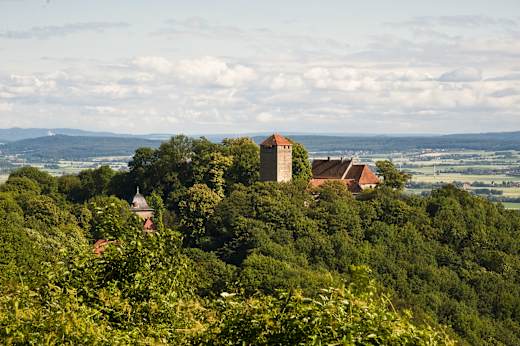 Rinteln-Schaumburg, Schaumburg
