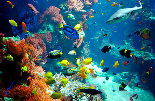 Salzburg, Haus der Natur