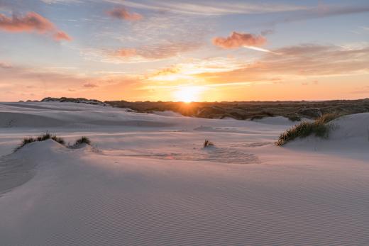 Skagen, Wanderdüne Råbjerg Mile