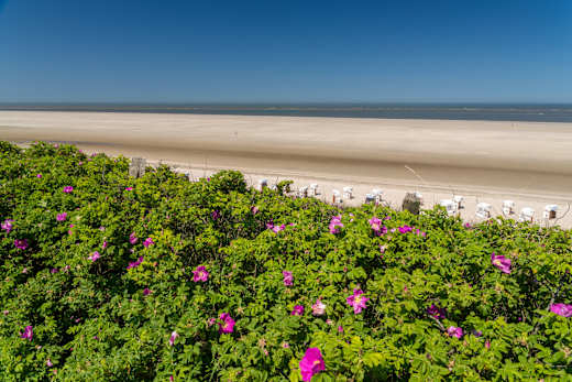 Spiekeroog, Rundwanderweg