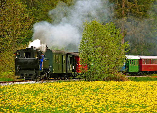 Stainz, Stainzer Flascherlzug