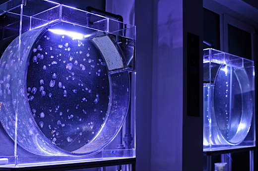 Travemünde, Ostseestation Travemünde