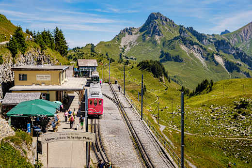 Interlaken, Schynige Platte
