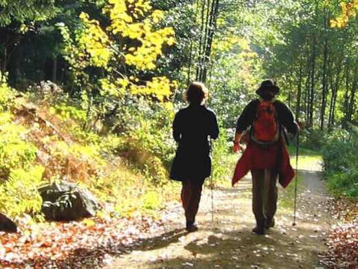 Wiesenfelden Brandmoos-Wandern