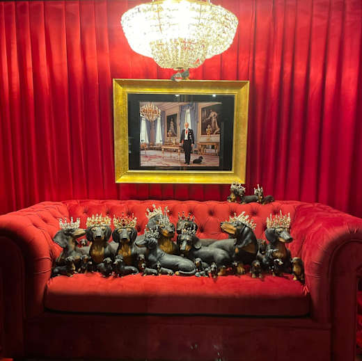 Dackel Couch