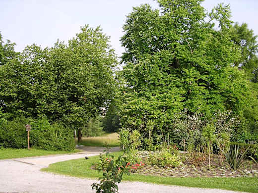 Hofgarten