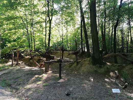 2018 08 19 Holzskulpturen Sinnenpfad