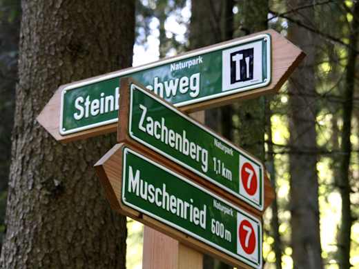 Zachenberg Steinbruchweg-Wegweiser