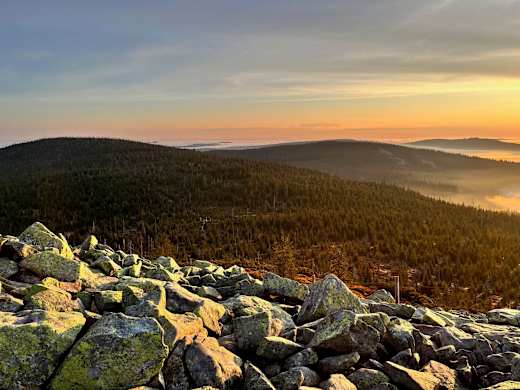 lusen blick morgens